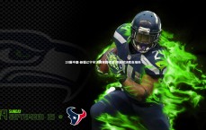 28圈中国-新疆辽宁半决赛狭路相逢 师徒对决胜负难料