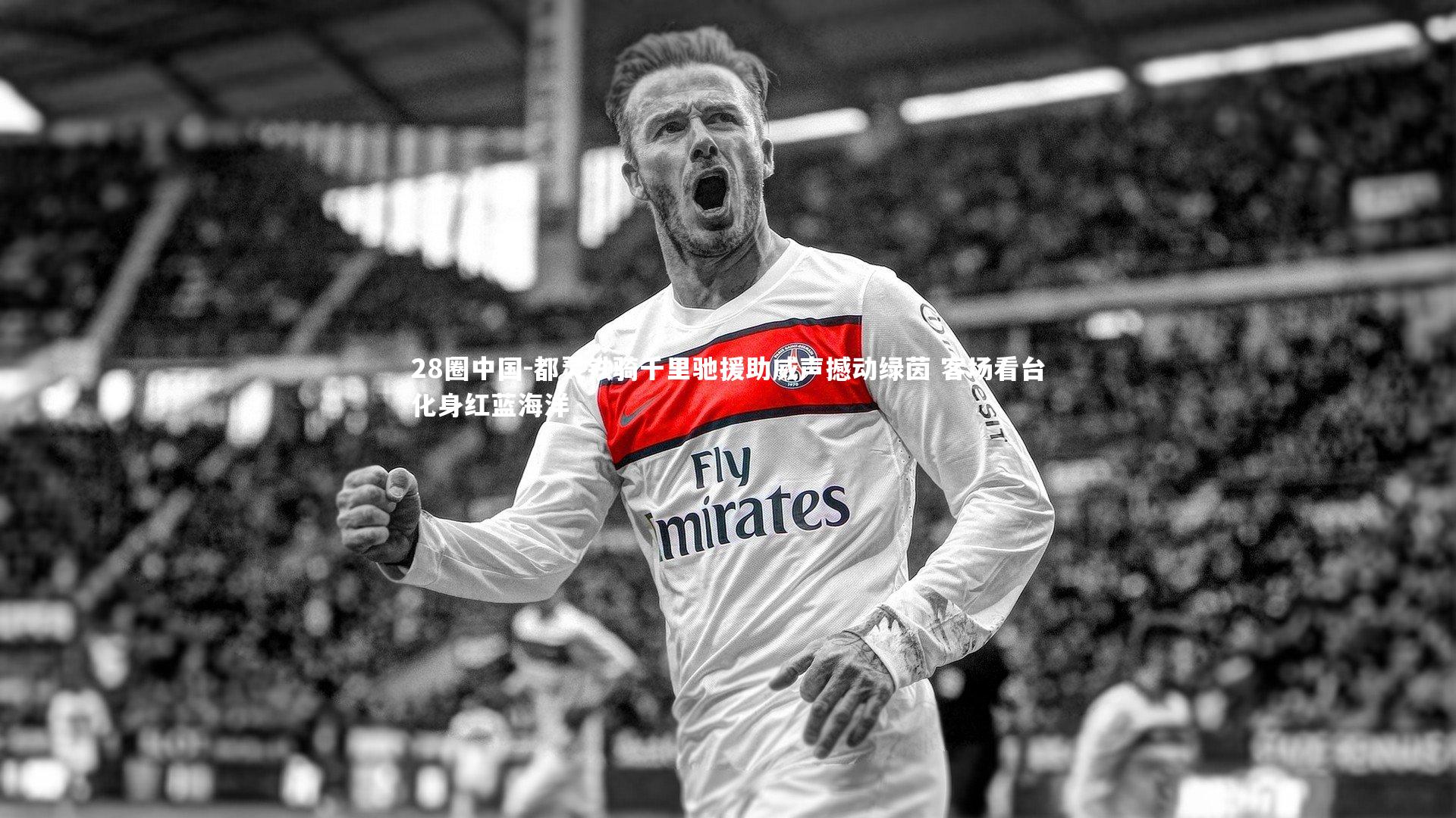 都灵铁骑千里驰援助威声撼动绿茵 客场看台化身红蓝海洋
